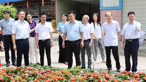 自治區(qū)政協(xié)常委、梧州市政協(xié)主席黃振饒蒞臨百裕集團(tuán)走訪調(diào)研